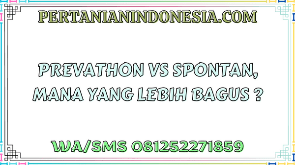 Prevathon Vs Spontan Mana Yang Lebih Bagus